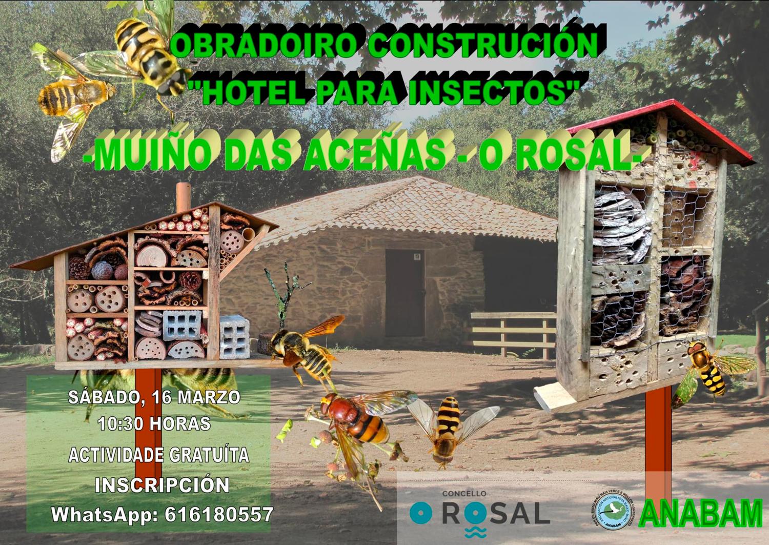 O Rosal súmase ao coidado da natureza cun obradoiro de construción de hoteis para insectos